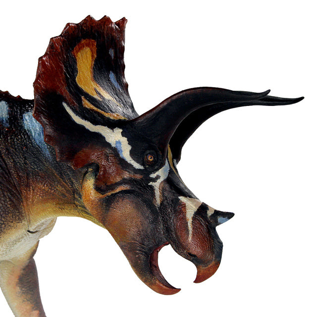 Beasts of the Mesozoic “Triceratops Horridus”