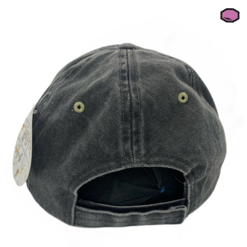 Gorra Harry Potter Hufflepuff Negro-Beige Vintage