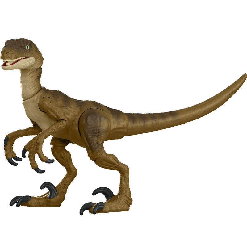 Jurassic World Hammond Collection Velociraptor