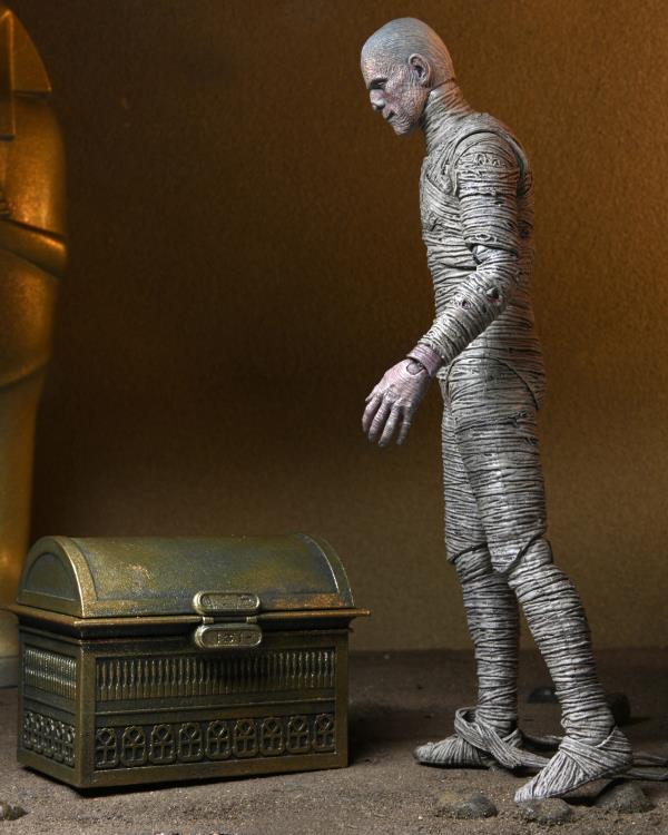 NECA Universal Monsters "The Mummy" Accesory Set